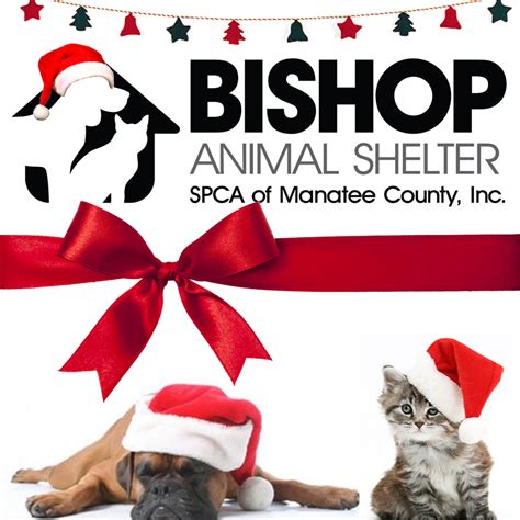 Bishop animal shelter spca adoption. The Sponsor a Pet program is handled by The Petfinder Foundation, a 501(c)3 nonprofit organization, to ensure that shelters and rescue groups receive donations in the easiest way possible. Please click OK below and a new tab will open where you can sponsor a … 
