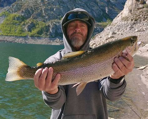 Here’s your Eastern Sierra Fishing Report 9-19-23. The fishing has gotten really good in the last few weeks here in the eastern sierra. Crowley Lake was the exception as a major algae bloom had the fish biting on some days and not cooperating the next day. Bridgeport Reservoir has plenty of water and has ... Continue Reading Book a Trip. 