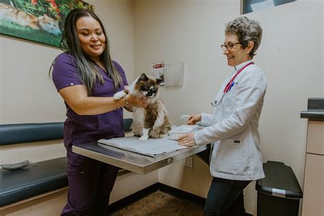 Bishop ranch vet. 2000 Bishop Drive. San Ramon, CA 94583, US. Get directions. Bishop Ranch Veterinary Center & Urgent Care | 259 followers on LinkedIn. Your Pet. Our Priority - 7 Days a Week! | At Bishop Ranch ... 