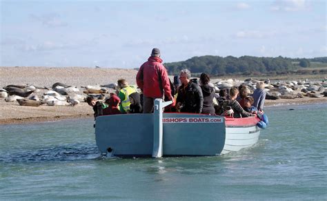 Bishops Boats Seal Trips (Blakeney) - 2024 Lohnt es sich? (Mit fotos)