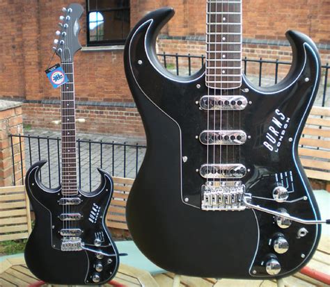 Bison Guitars - alston-family.co.uk