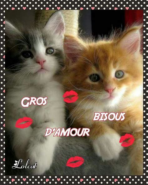 🍑 XXX Bisous Chatons Leaks