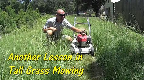 Bit of trouble cutting grass - Dan Word