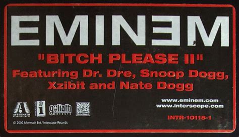 Bitch Please II by Snoop Dogg, Eminem, Dr. Dre, Nate Dogg and …