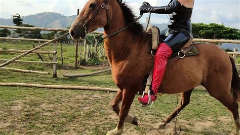 Bitch Porn &ndash; Gay Male Tube