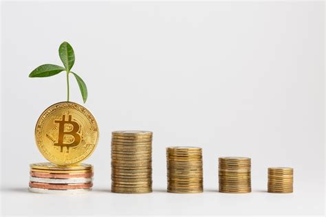 Bitcoin's Growing User Base: Implications for the Future