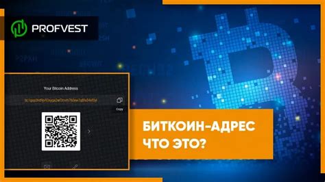 Как вывести Bitcoin на адрес и что для этого нужно знать