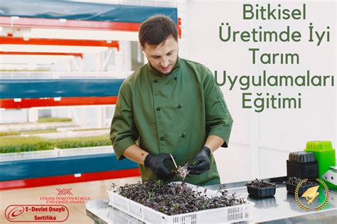 Bitkisel Bitkisel Üretimde Üretimde. 