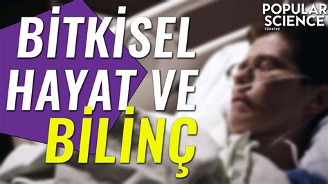 Bitkisel Hayat YouTube. 