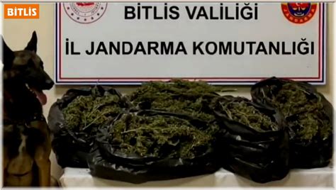 Bitlis’te 10 kilo 200 gram skunk maddesi ele geçirildis
