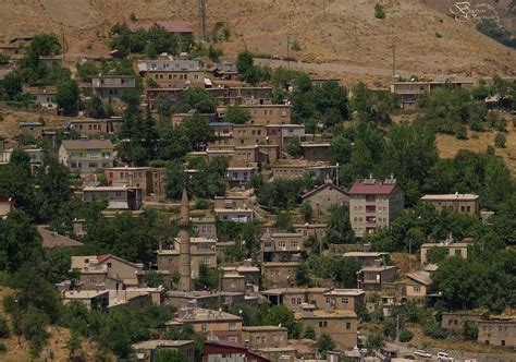 Bitlis Merkez Zeydan Mahallesi terapi halı yıkama