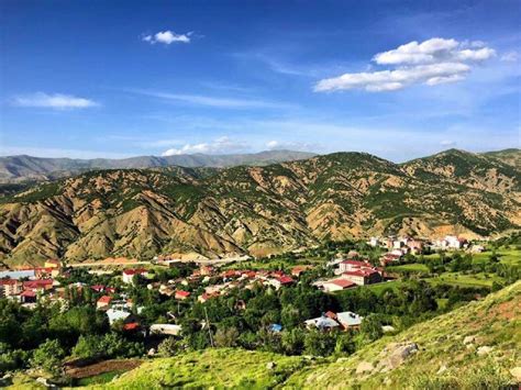 Bitlis Mutki terapi halı yıkama