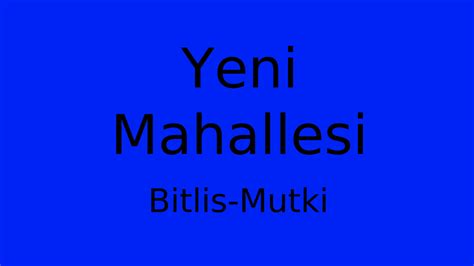 Bitlis Mutki Yeni Mahallesi terapi halı yıkama
