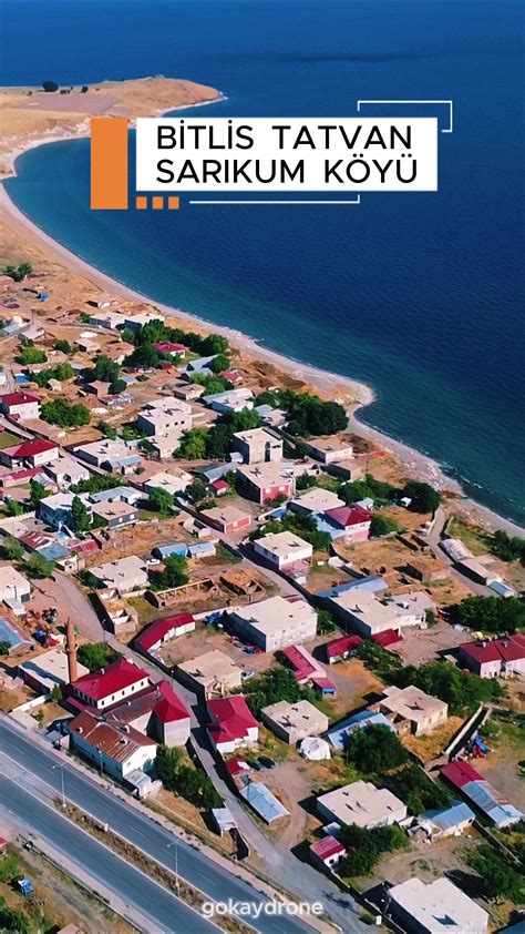 Bitlis Tatvan Karatas Mahallesi terapi halı yıkama