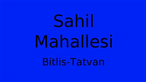Bitlis Tatvan Sahil Mahallesi terapi halı yıkama