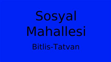 Bitlis Tatvan Sosyal Mahallesi terapi halı yıkama