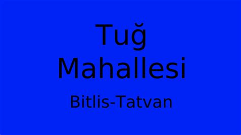 Bitlis Tatvan Tug Mahallesi terapi halı yıkama