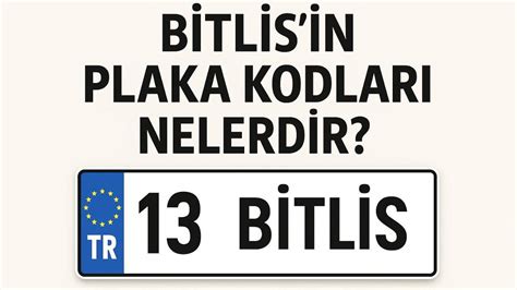 Bitlis plaka kod.