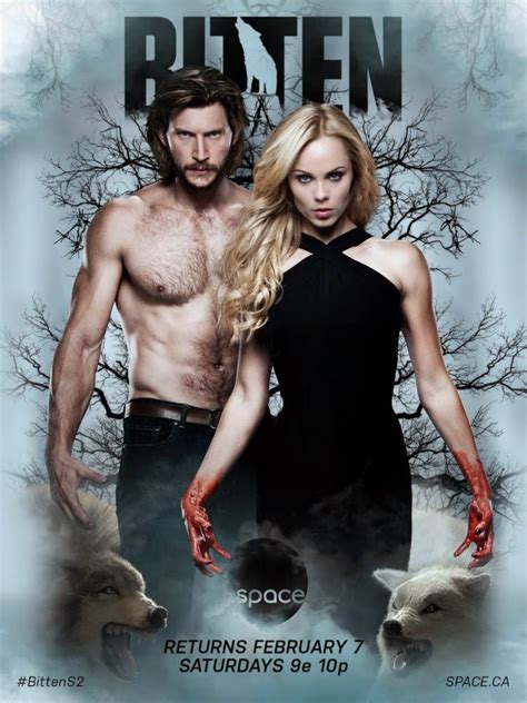 veodersti.rgarabwor.edu.pl. 