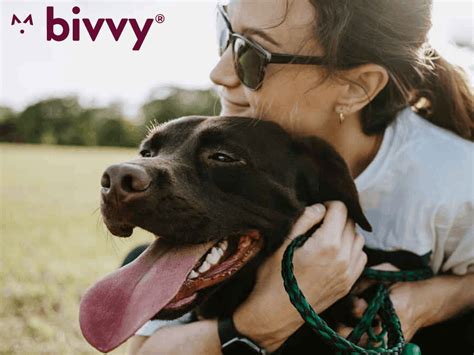 Read 1 more review about Bivvy Pet Insurance. Our 2022 Tra
