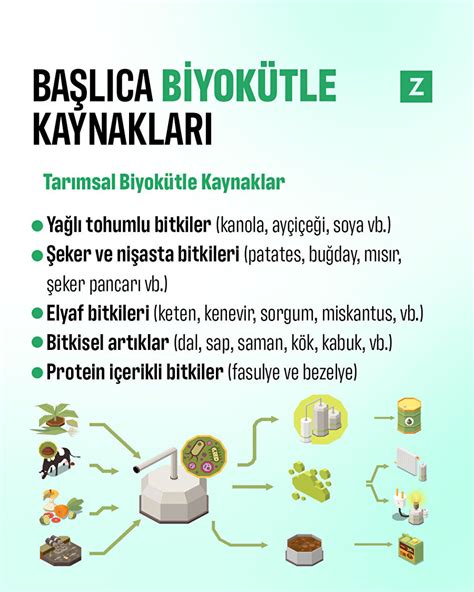 Biyokütle Vikipedi.