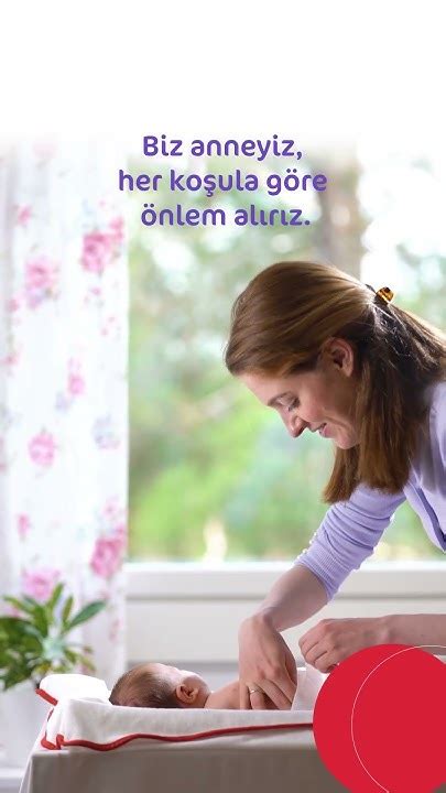 veodersti.rgarabwor.edu.pl. 