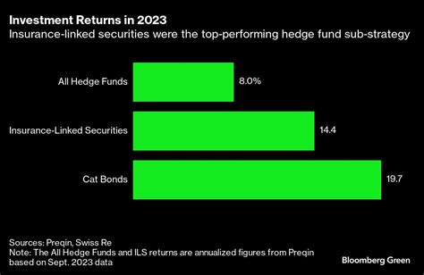 BizNews Global Investing