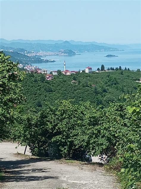 codini.rgarabwor.edu.pl. 