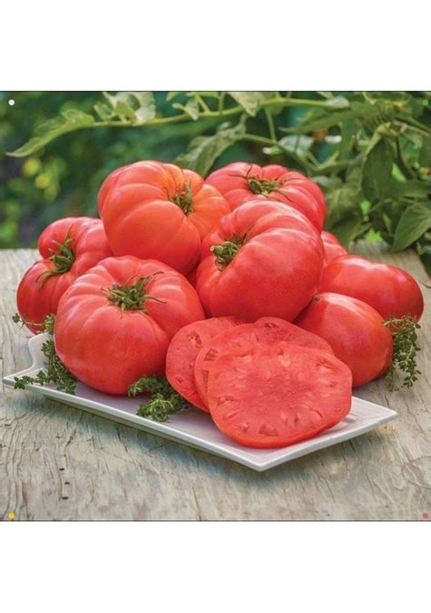 Bizimköy f1 domates