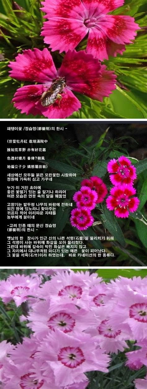 Bj 단하 2953 꽃단하Bj꽃단하Bj bj6299‧2 Subscribers‧31 Videos‧ 