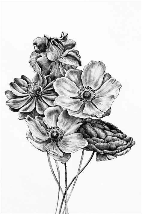 Black And White Drawing Flowers