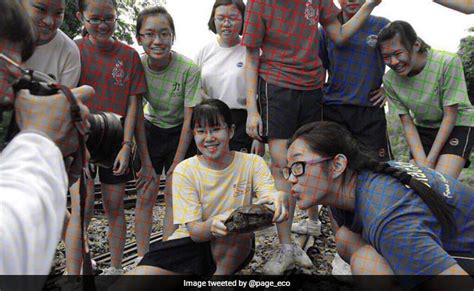 Black And White Or Coloured? Viral Optical Illusion Confuses The …