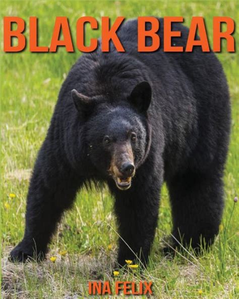 Black Bear Books & Coffee House - Book Stores - Creston