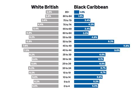 Black Caribbean ethnic group: facts and figures