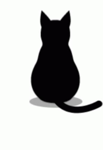 Black Cat GIFs - Get the best GIF on GIPHY