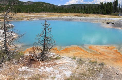 Black Diamond Pools