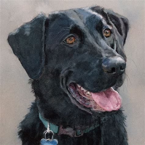 Black Lab Drawings - Etsy