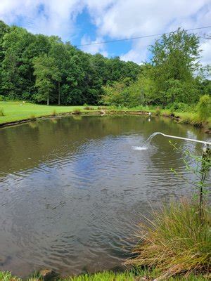 Black Mountain Trout Ponds and fishing shack - Suches, GA