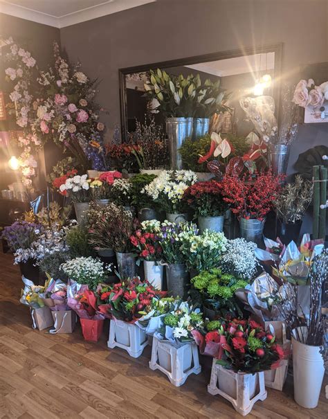 Black Orchid Florist Swansea ⏰ opening times 93 Brynymor Rd