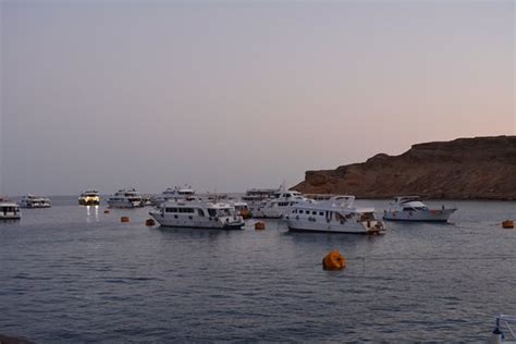 Black Pearl Red Sea (Sharm El Sheikh) - Tripadvisor