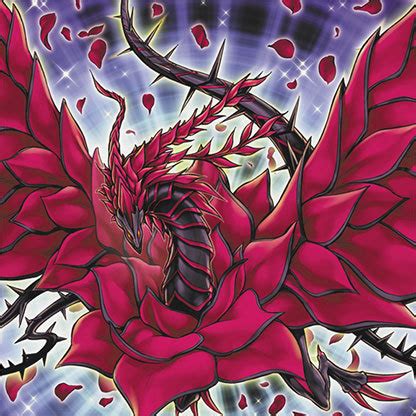 Black Rose Dragon Card Profile : Official Yu-Gi-Oh! Site