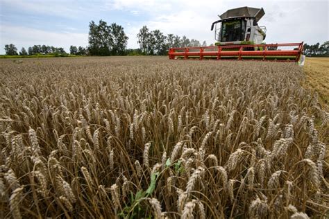 Black Sea grain deal to expire Monday if Russia quits