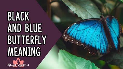 Black and Blue Butterfly Meaning - YouTube