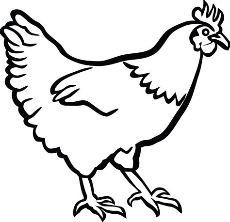 Black and white chicken clipart. Things To Know About Black and white chicken clipart. 