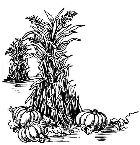 Black and white fall clipart. Things To Know About Black and white fall clipart. 