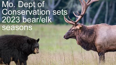 Black bear and elk hunting seasons set in Missouri