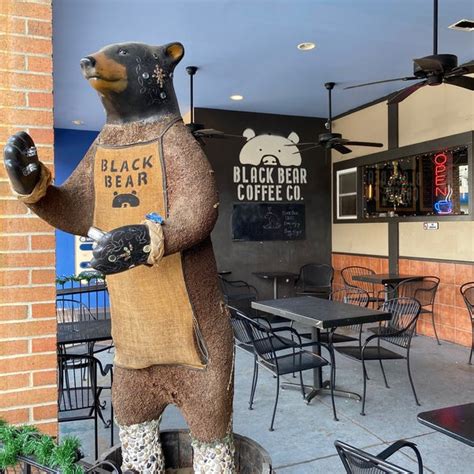 Black bear coffee. Things To Know About Black bear coffee. 