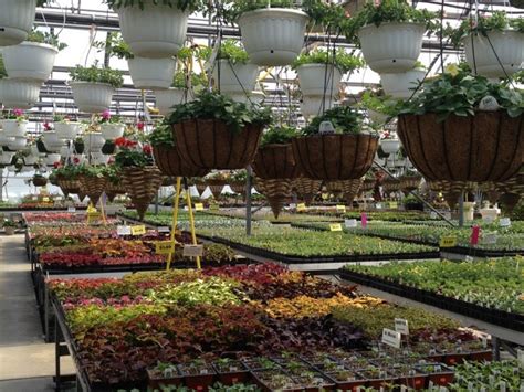 Find 1 listings related to Black Creek Greenhouses in