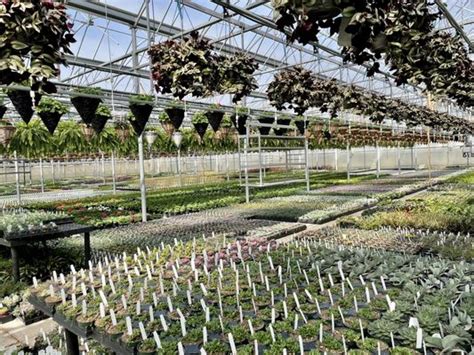 Find 55 listings related to Black Creek Greenhouses in Westfi