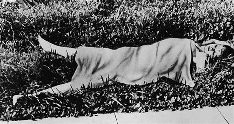 Elizabeth Short was nicknamed "The Black Dahlia&quo